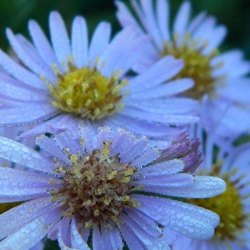 Photo #2242938