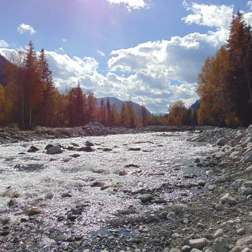 Photo #2243279
