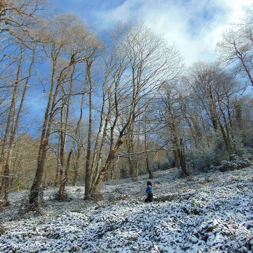 Photo #2243313