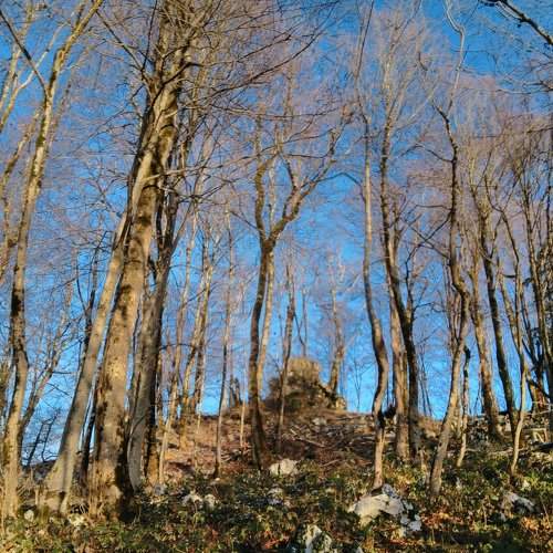 Photo #2243334