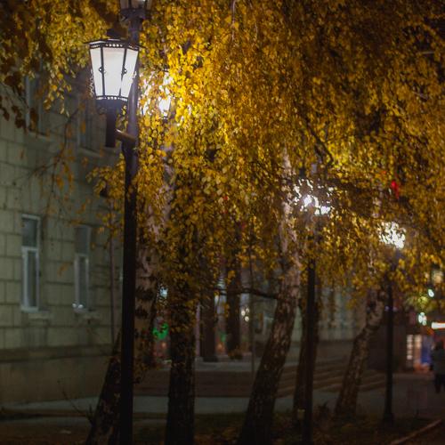 Photo #2243396