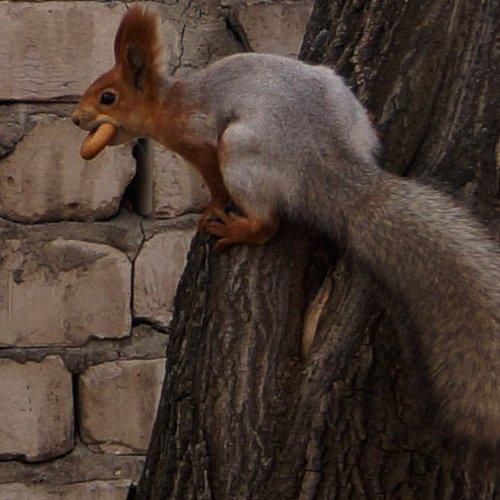 Photo #2244396