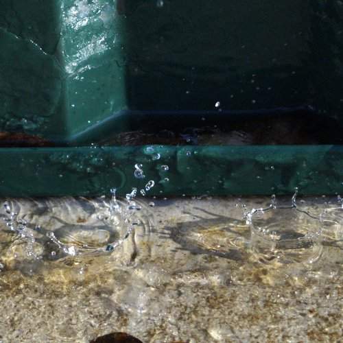 Photo #2244408