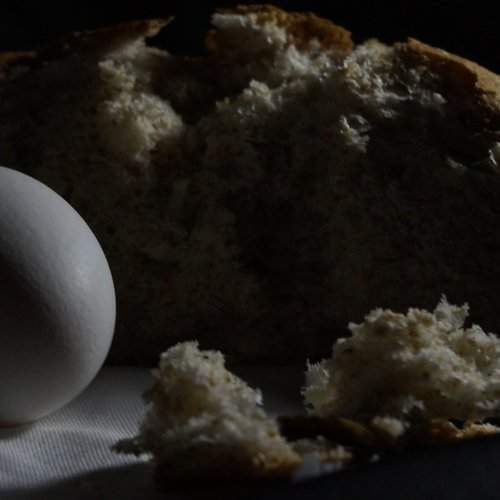 Photo #2244441
