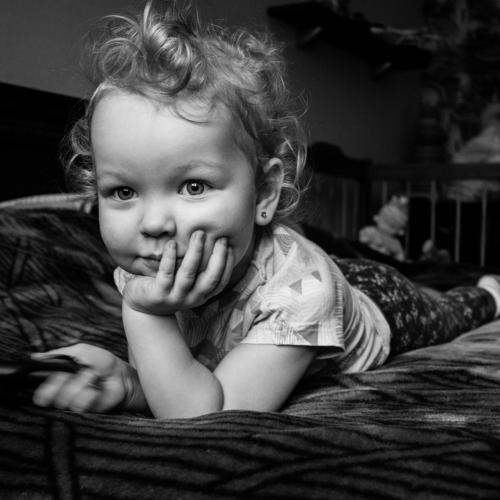 Photo #2245684