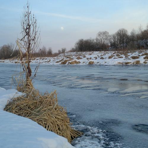 У реки / By the river