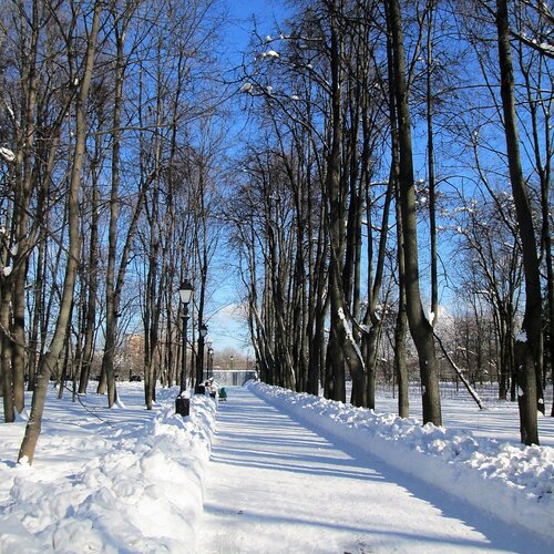 Аллея парка