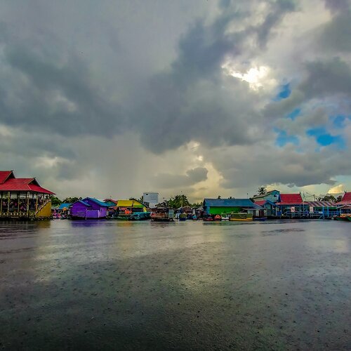 Sebangau National Park - Central Borneo