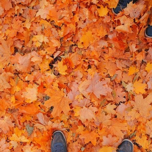 Photo #2249339