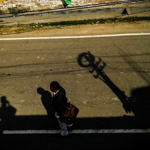 shadows members
