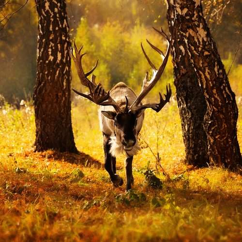 Photo #2249594