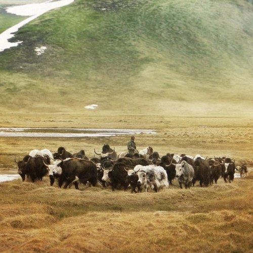 Photo #2249595