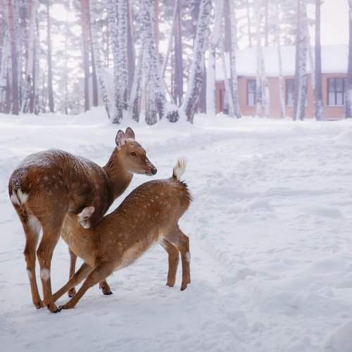 Photo #2249596