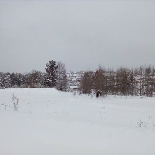 Photo #2249796