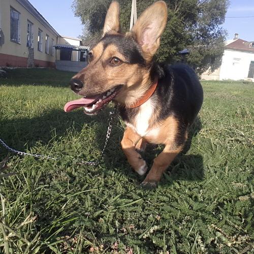 Photo #2253294