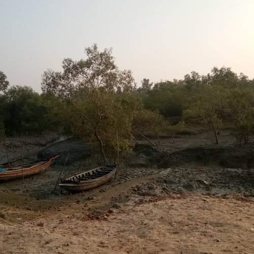 Misterios Sunderbans