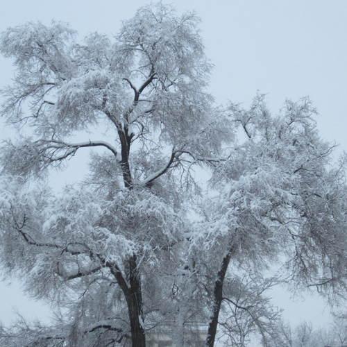 Photo #2254946