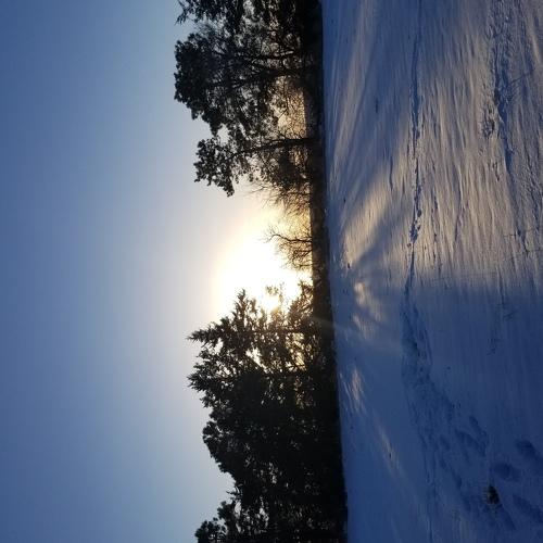 Winter wonderland