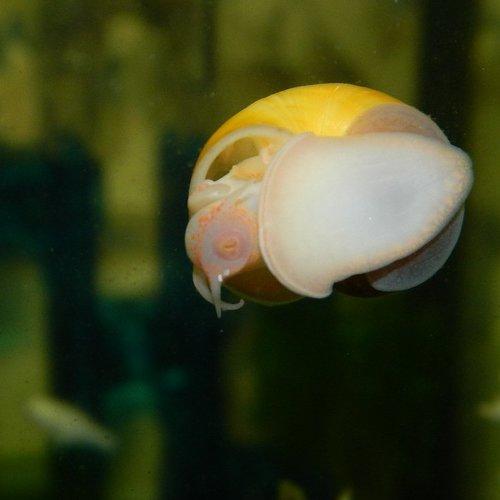 Photo #2258154