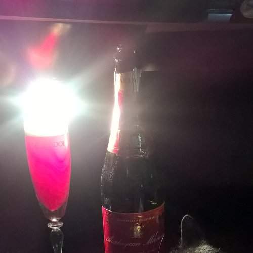 Photo #2259900