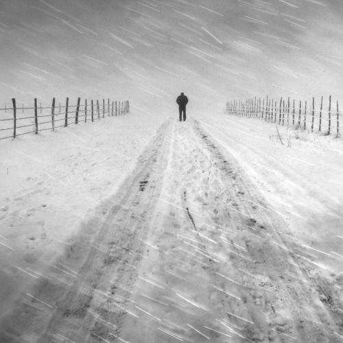 Fargo