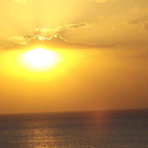 Photo #2260641