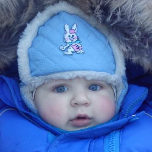 Photo #2260766