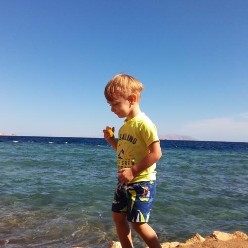 Photo #2261613