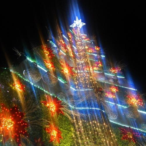 "Pasko" (Christmas)