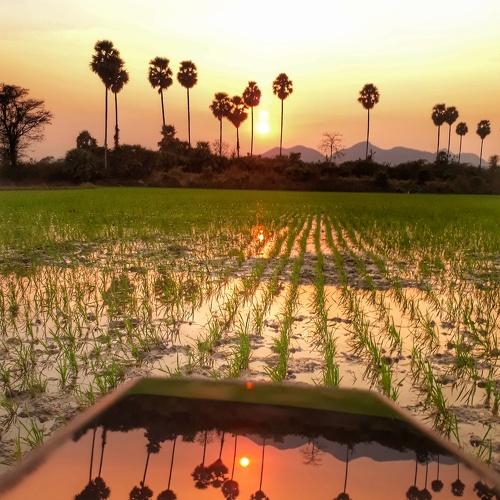Reflection