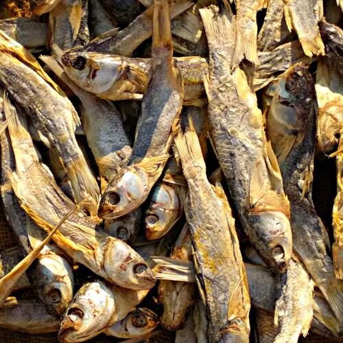 DRY FISH