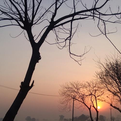 #nature