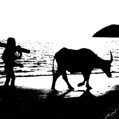 Man & Buffalo