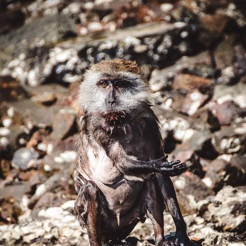 Photo #2265451