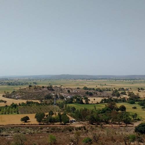 Lush Green Grassland