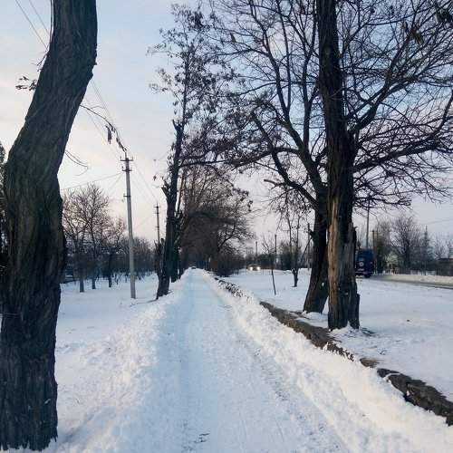 Зимний пейзаж