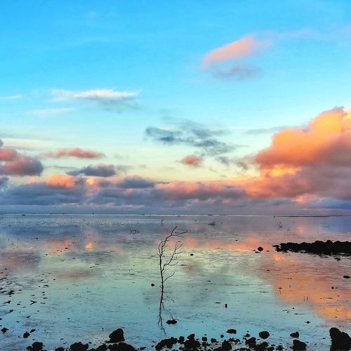 LOW TIDE
