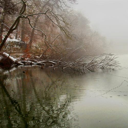 Sunrise in the Mist