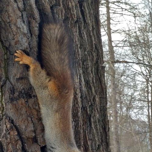 Photo #2267549
