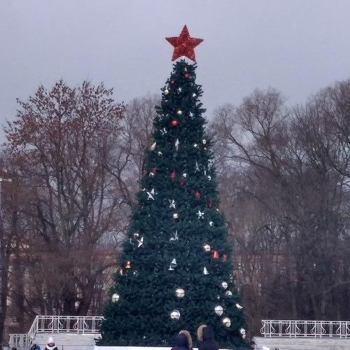 Photo #2267551