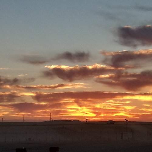 Photo #2267753