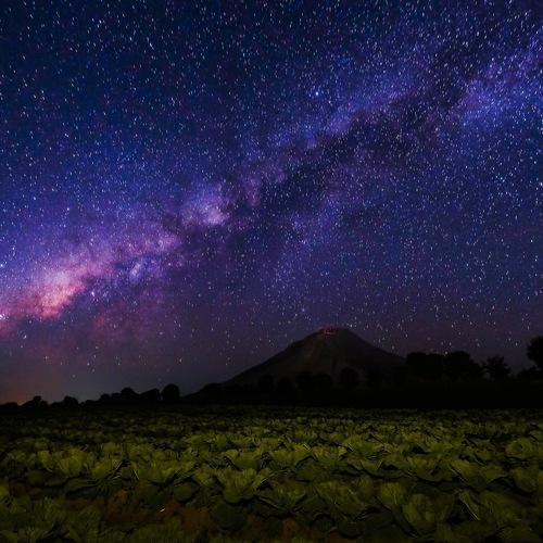 The Universe