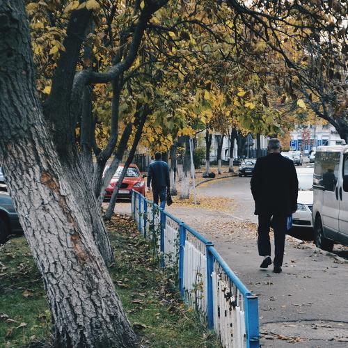 Photo #2272939