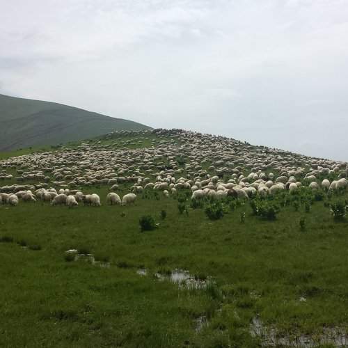 По пути в Гудаури