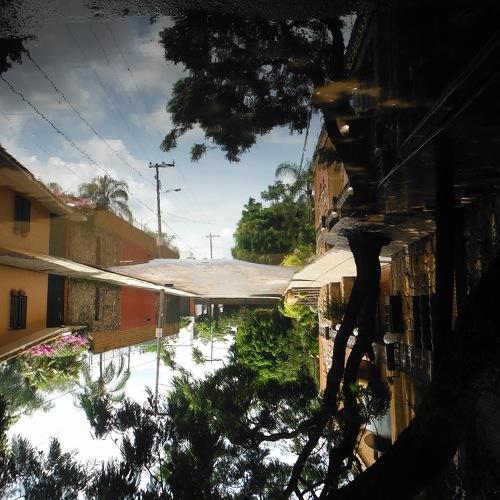 The world upside down