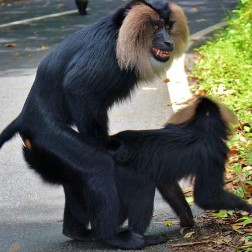 Mating time