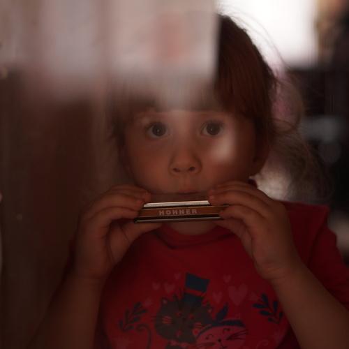 Photo #2276908