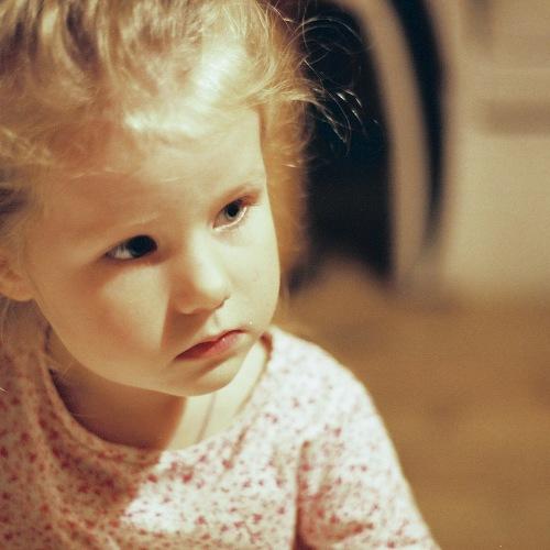Photo #2277700