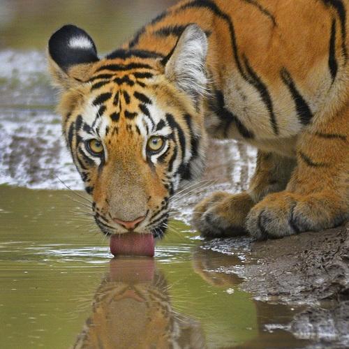 Time for a drink