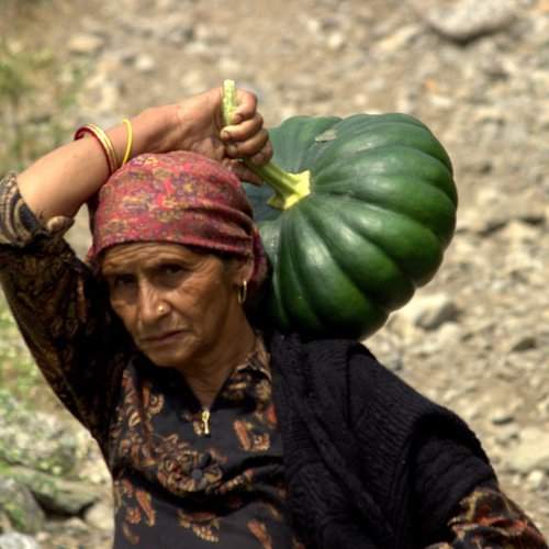 A lady carrying vegetable